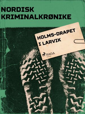 cover image of Holms-drapet i Larvik